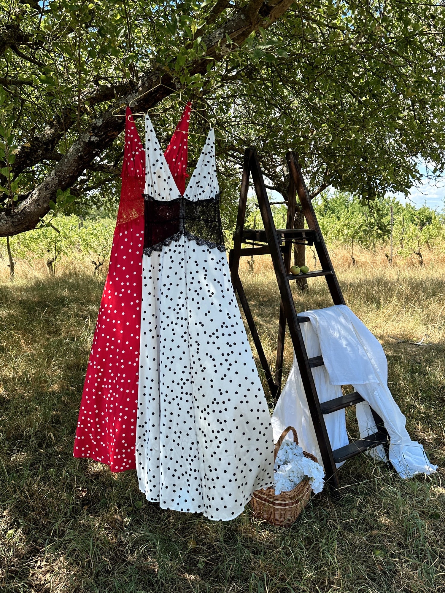 Robe VINIE Blanc