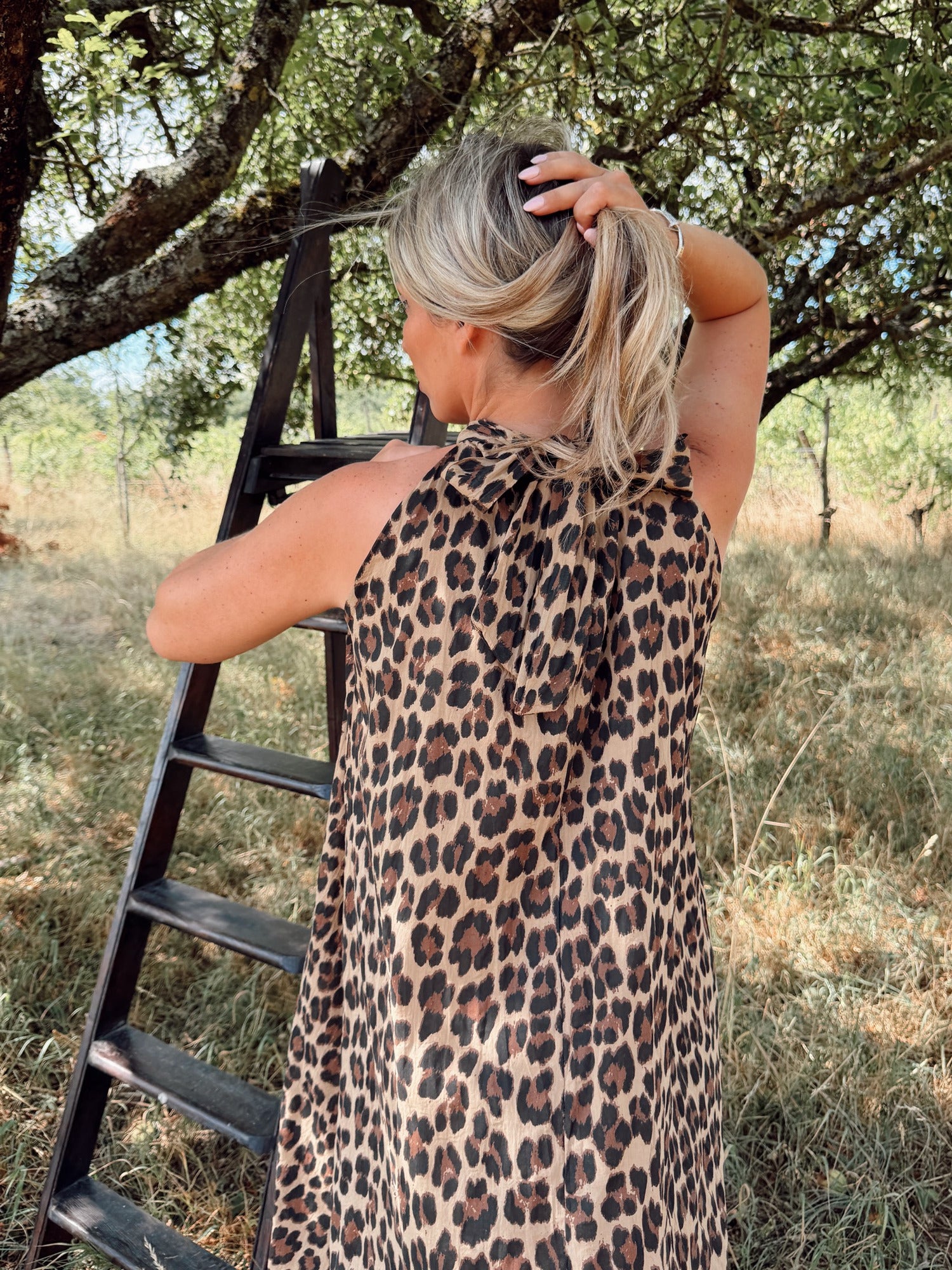 Robe PARDI Marron