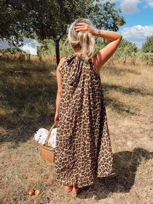 Robe PARDI Marron